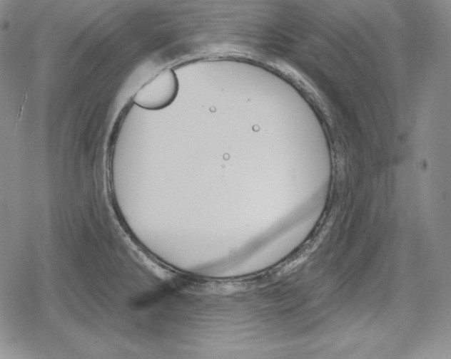 X0000078831286200612111510