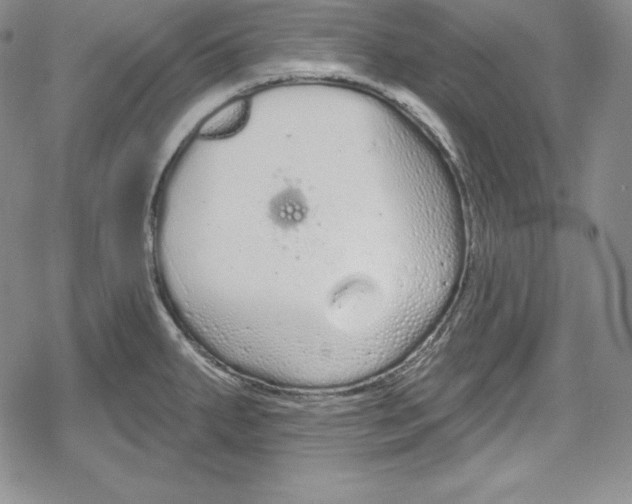 X0000078831287200612111510