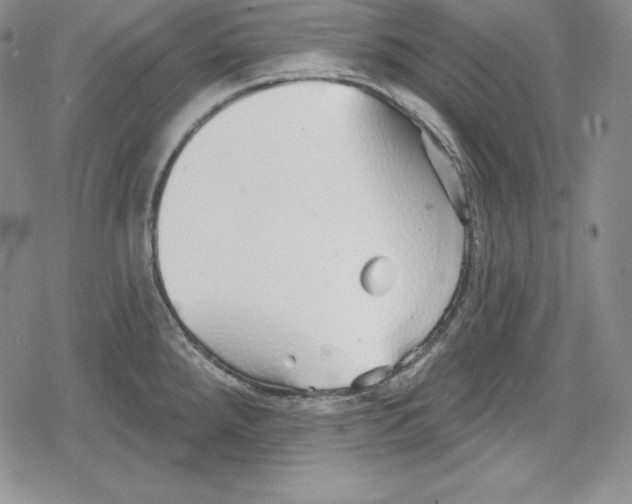 X0000078831288200612111510