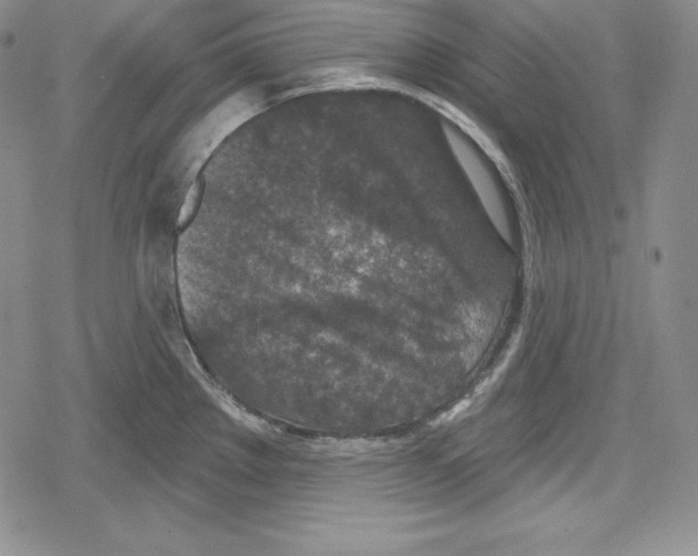 X0000078831289200612111510