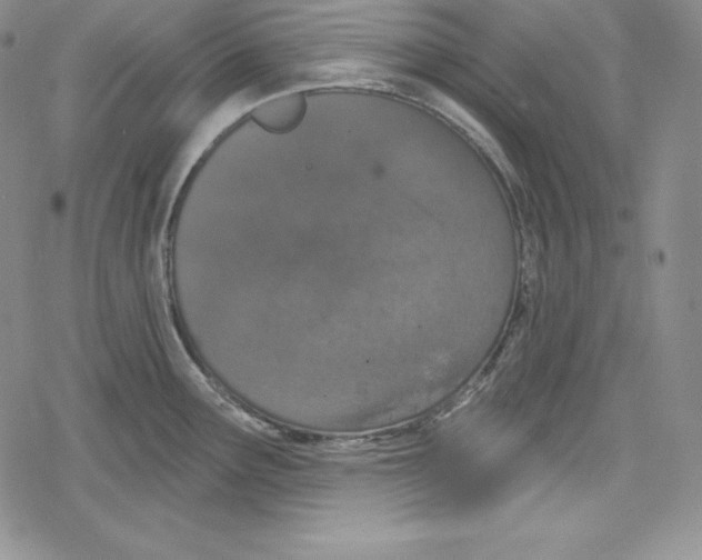 X0000078831291200612111510