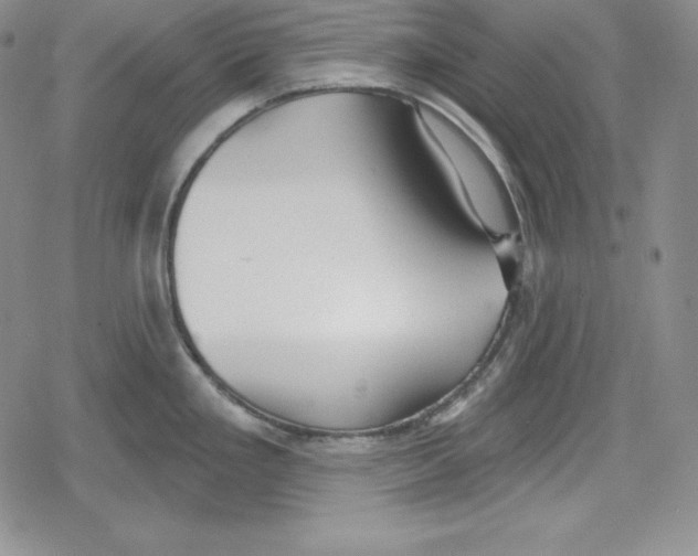 X0000078831293200612111510