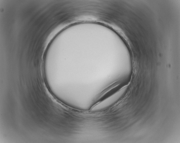 X0000078831295200612111510