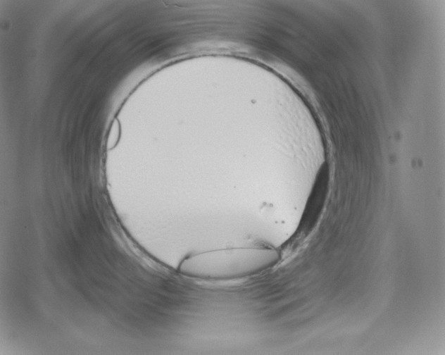 X0000078831296200612111510