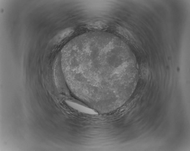 X0000078831297200612111509