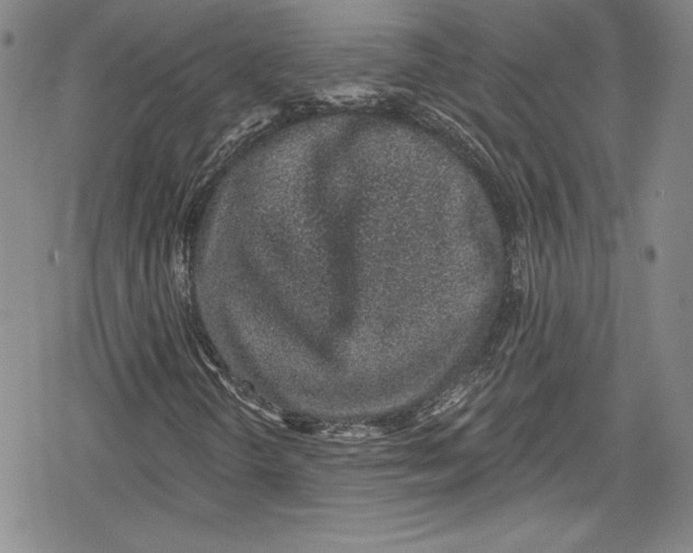 X0000078831298200612111509