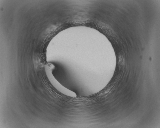 X0000078831300200612111509