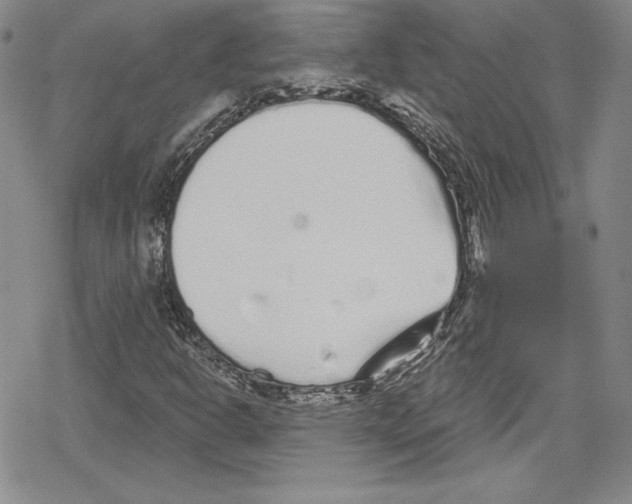 X0000078831302200612111509