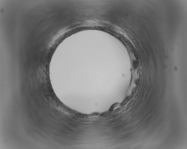 X0000078831304200612111509