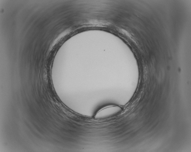 X0000078831307200612111509