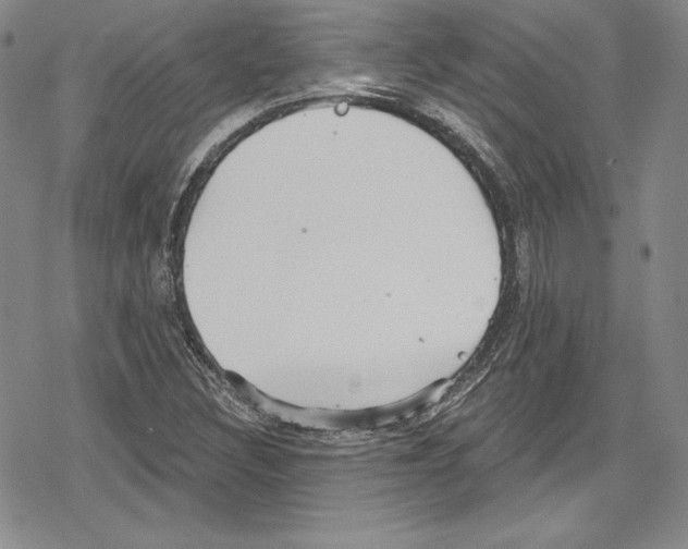 X0000078831308200612111509