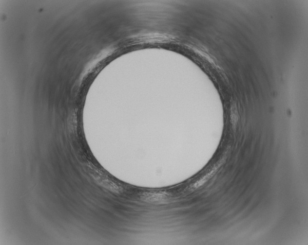 X0000078831309200612111509