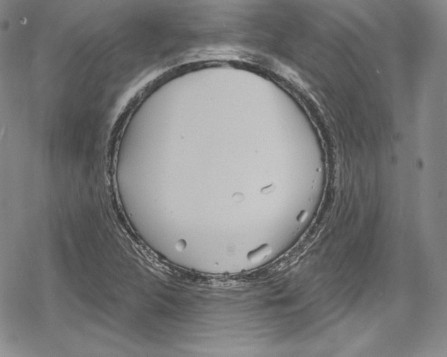 X0000078831312200612111509