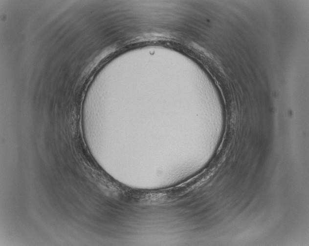 X0000078831313200612111509