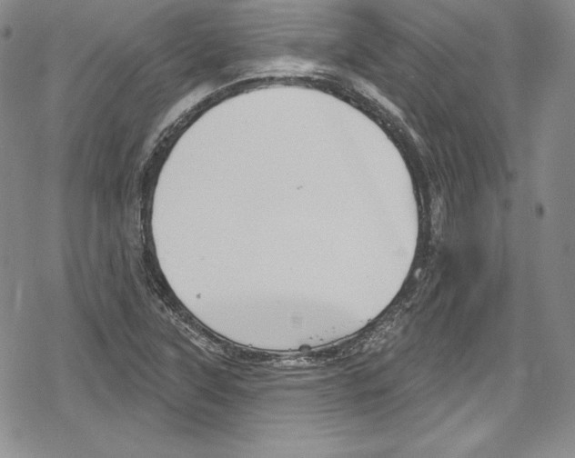 X0000078831315200612111509