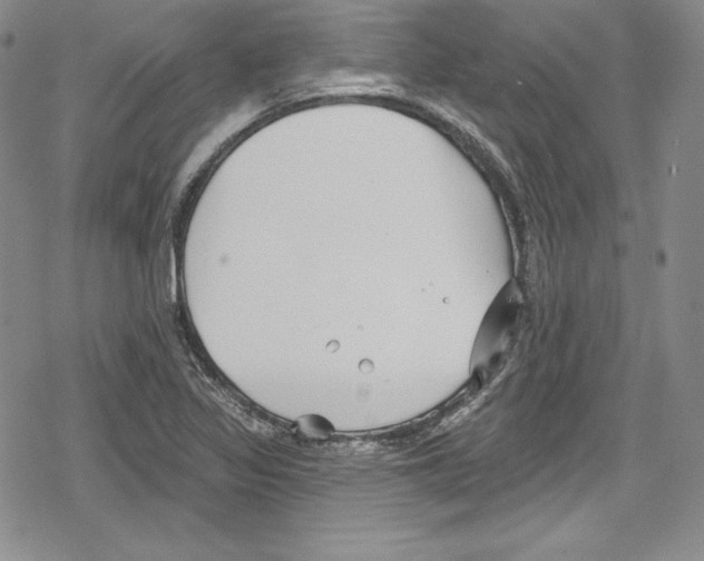 X0000078831317200612111509