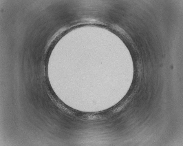 X0000078831318200612111509