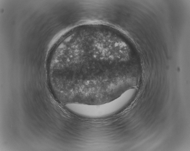 X0000078831319200612111509