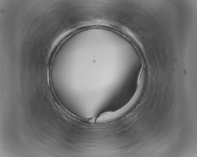 X0000078831320200612111509