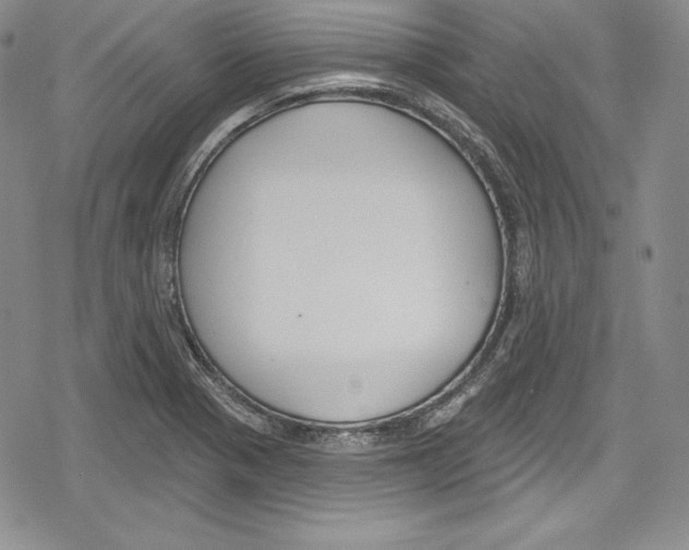 X0000078831321200612111509