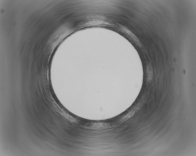 X0000078831322200612111509