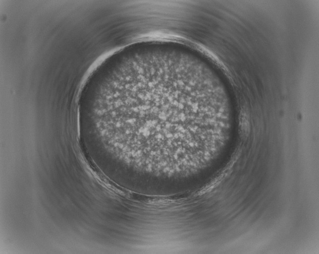 X0000078831323200612111509