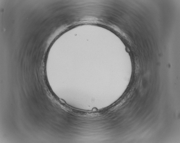 X0000078831325200612111509