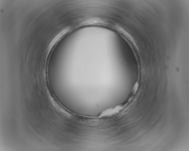 X0000078831330200612111510