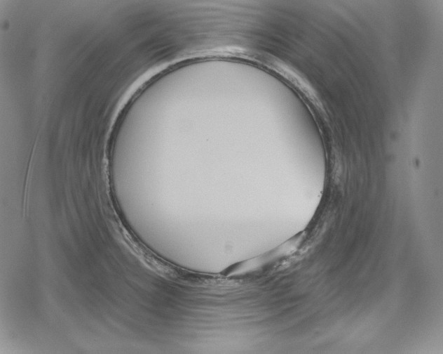 X0000078831332200612111510