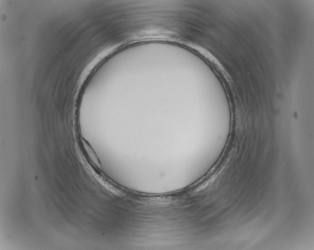 X0000078831333200612111510