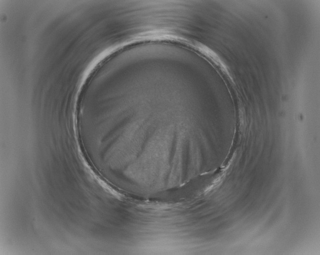 X0000078831334200612111510