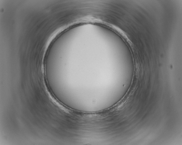 X0000078831335200612111510