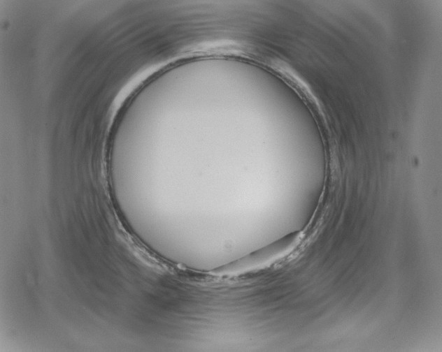 X0000078831336200612111510