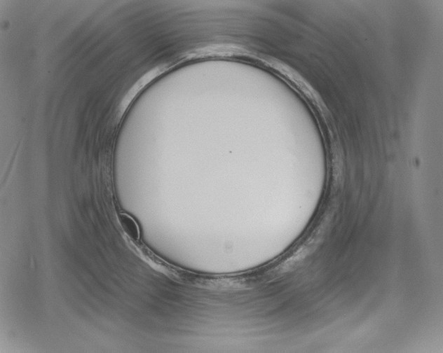 X0000078831337200612111510