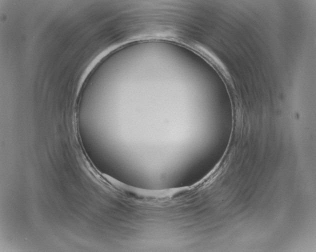 X0000078831340200612111510