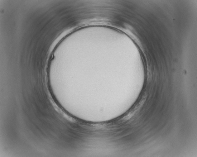 X0000078831341200612111510