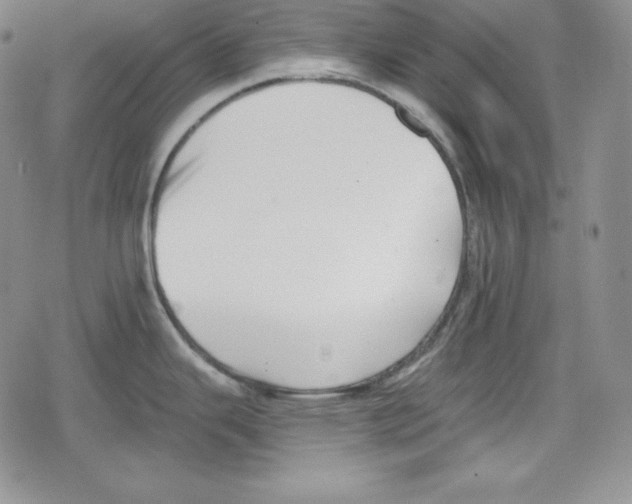 X0000078831343200612111510