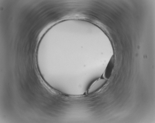 X0000078831344200612111510