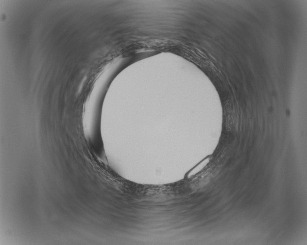 X0000078831345200612111509