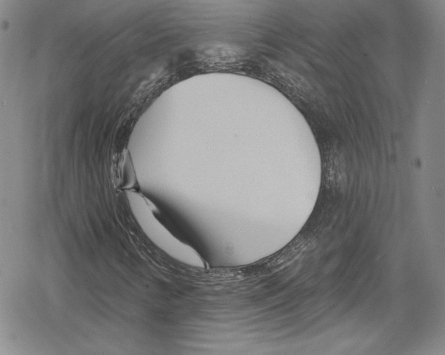 X0000078831346200612111509