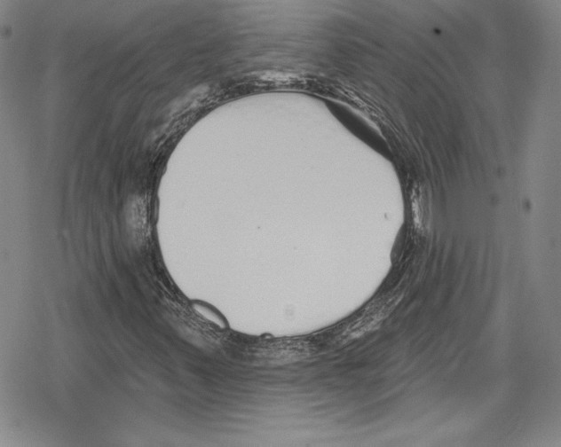 X0000078831347200612111509