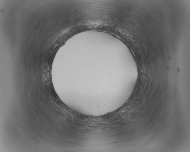 X0000078831349200612111509