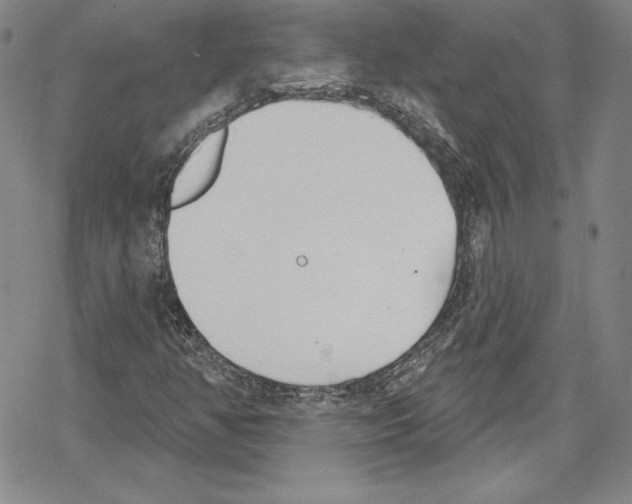 X0000078831350200612111509