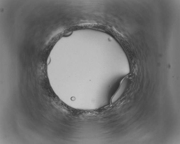 X0000078831351200612111509