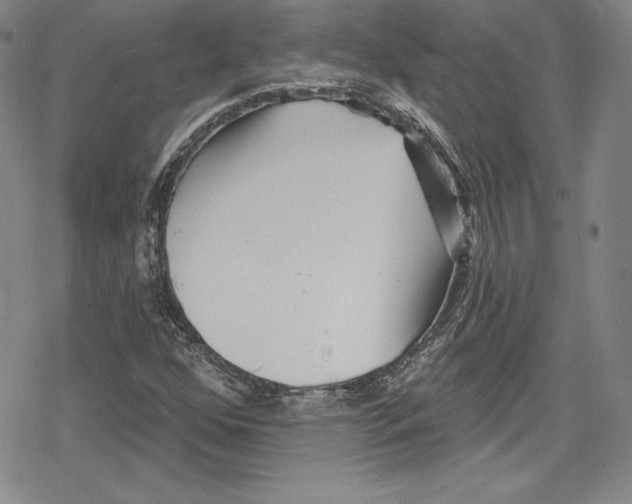 X0000078831352200612111509