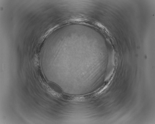 X0000078831353200612111509