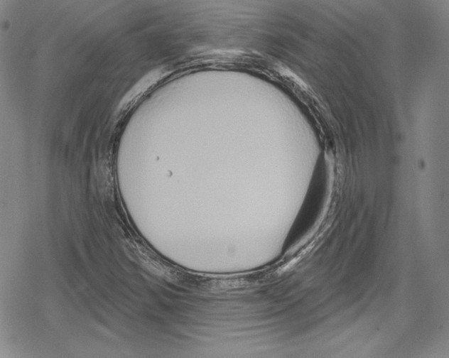 X0000078831354200612111509