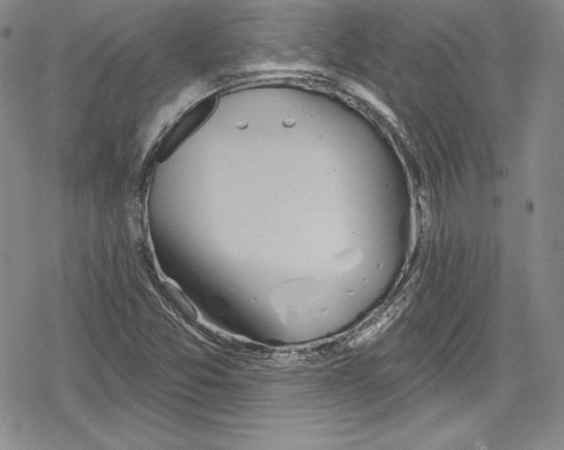 X0000078831357200612111509