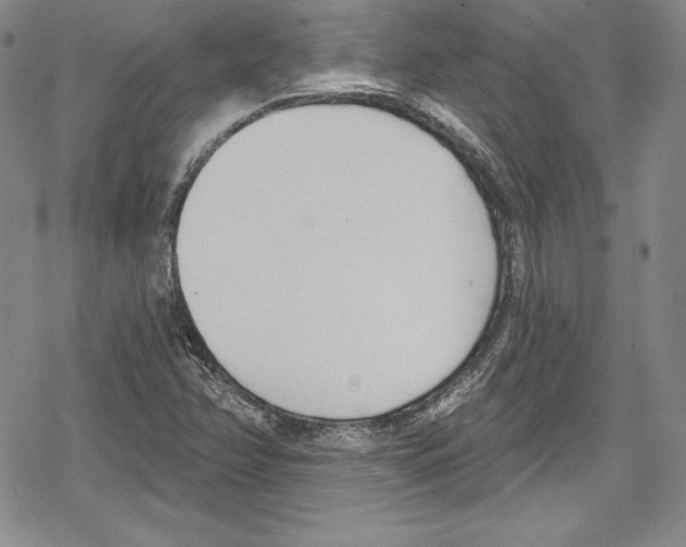 X0000078831358200612111509