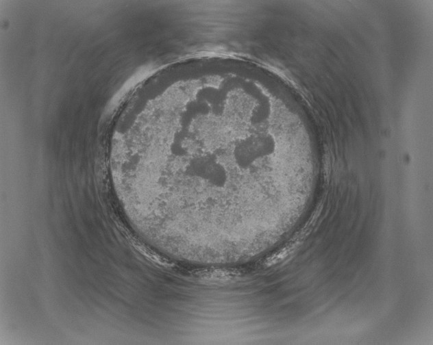 X0000078831359200612111509